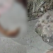 Pai encontra o próprio filho m0rt0 a p3drada$ no bairro Mauazinho