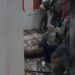 Vídeo: Onça m0rr3 após invadir quartel dos Bombeiros em Novo Airão