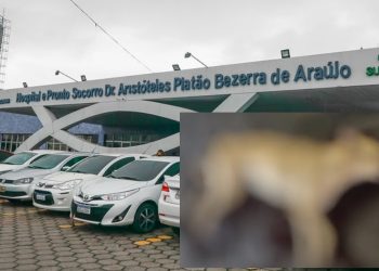 Policial é acusad0 de dar tir0 na cabeça de “Caramela” do Platão Araújo