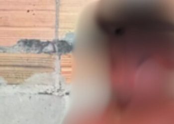 Veja: Assaltante que quase m0rr3u espanc4do em Manaus confessa o motivo: 'alimentar meu filho'