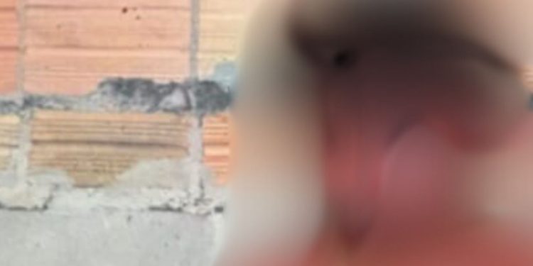 Veja: Assaltante que quase m0rr3u espanc4do em Manaus confessa o motivo: 'alimentar meu filho'