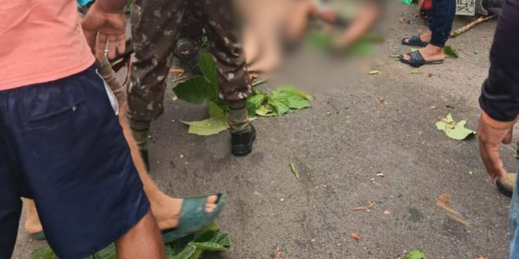 Vídeo: Casal de moto é atingido por árvore durante temporal em Tefé