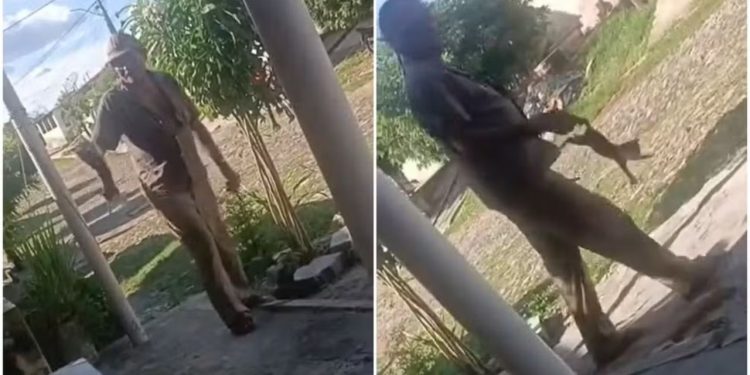 Idoso é assass1nad0 dois dias após arremessar e m4tar filhote de gato