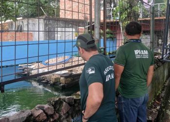 Homem que criava tartarugas, pirarucus e tambaquis no Parque 10 é multado em R$ 140 mil