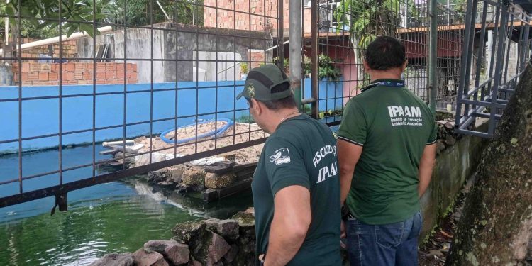 Homem que criava tartarugas, pirarucus e tambaquis no Parque 10 é multado em R$ 140 mil