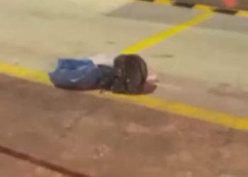 Recém-nascida é encontrada dentro de lixeira no bairro Raiz