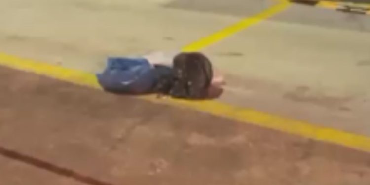 Recém-nascida é encontrada dentro de lixeira no bairro Raiz
