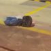 Recém-nascida é encontrada dentro de lixeira no bairro Raiz