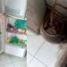 PC prende assistente social por abandonar a filha diagnosticada com esquizofrenia em Parintins