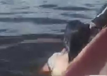Vídeo: Mulher fica furiosa ao ser impedida de atravessar o rio nadando em Tefé: 'Tá dr0g4da mesmo'