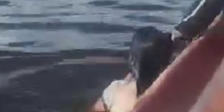 Vídeo: Mulher fica furiosa ao ser impedida de atravessar o rio nadando em Tefé: 'Tá dr0g4da mesmo'