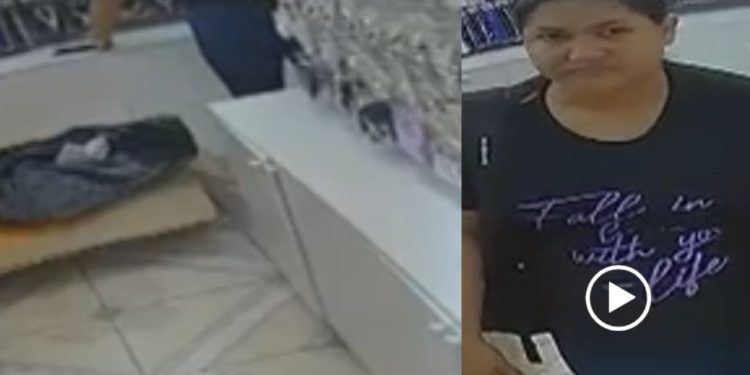 Vídeo: Mulher finge ser cliente e furt4 celular em loja de acessórios e bijuterias no Centro de Manaus