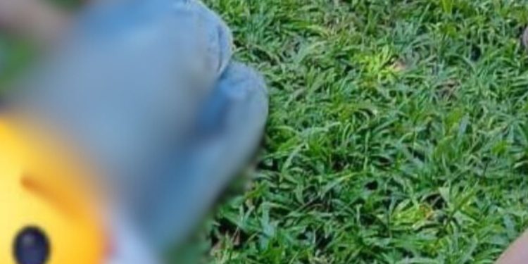 Imagem mostra como ficou o idoso que foi esf4que4d0 nas costas covardemente no AM
