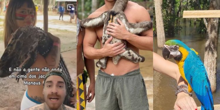 Biólogo alerta sobre tirar fotos com animais silvestres em passeio na Amazônia: 'acha que tá arrasando'