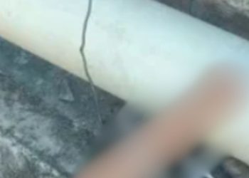 Denúncias salvam menina de 4 anos que estava passando fome amarrada no quintal de casa