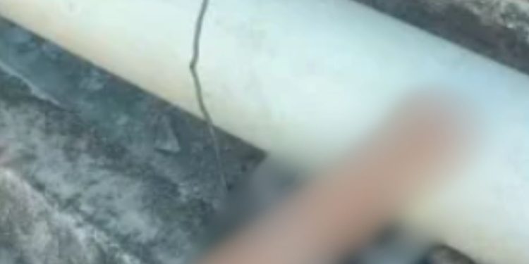 Denúncias salvam menina de 4 anos que estava passando fome amarrada no quintal de casa