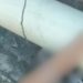 Denúncias salvam menina de 4 anos que estava passando fome amarrada no quintal de casa