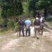 Homem descobre que esposa o traía e m@ta colega de trabalho ‘Ricardão’ no interior do AM