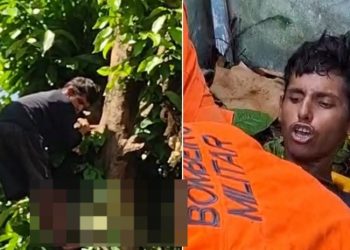 Vídeo: suspeito de roub0 sobe na árvore, mas é atingido por lança no Amazonas