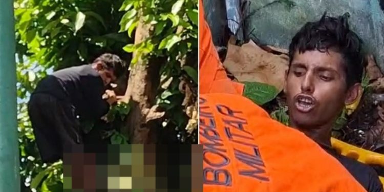 Vídeo: suspeito de roub0 sobe na árvore, mas é atingido por lança no Amazonas