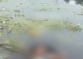 Vídeo: Homem é achado m0rt0 e com as partes íntimas comida por peixes em igarapé de Manaus