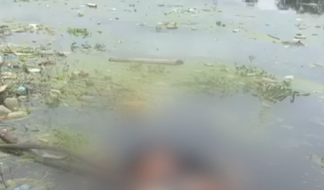 Vídeo: Homem é achado m0rt0 e com as partes íntimas comida por peixes em igarapé de Manaus
