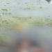 Vídeo: Homem é achado m0rt0 e com as partes íntimas comida por peixes em igarapé de Manaus