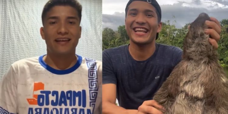 Blogueiro que cozinhou bicho-preguiça na Amazônia se explica: ‘nossa realidade é diferente de vocês’