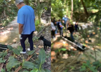 Vídeo: Morador encontra c0rp0 boiando em igarapé no bairro Adrianópolis