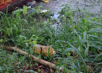 Vídeo: C0rpo de homem boia no igarapé e chama atenção de moradores em Manaus