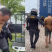 Vídeo: Homem que ofereceu ovo de Páscoa e R$ 6 após estupr0 de garoto tem HIV e é ex-presidiário