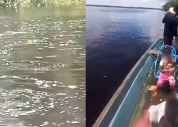 Cr1anças e homem vão em busca de bacuri e encontram o pior: ‘Homem m0rt0’; veja