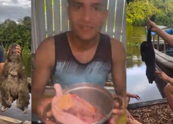 Paraense  filmado fazendo cozido de bicho-preguiça reage: ‘antes de me julgar, pesquisa a realidade’