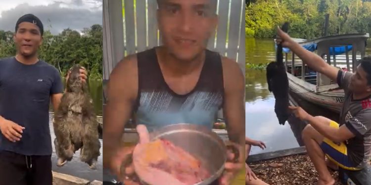 Paraense  filmado fazendo cozido de bicho-preguiça reage: ‘antes de me julgar, pesquisa a realidade’