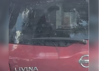 ‘Vai tremer… o carro vai tremer’: Casal é flagrado só no movimento dentro de veículo em Manaus; vídeo