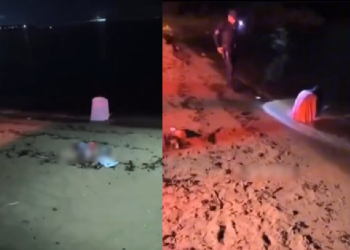 Vídeo: Guardas municipais se borram de med0 ao verem mulher murmurando na água na Ponta Negra