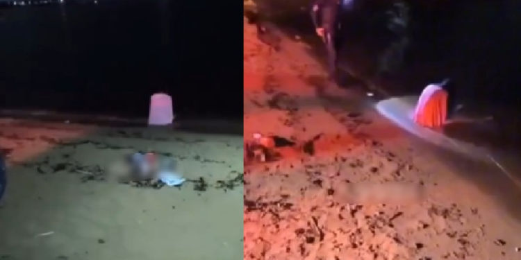 Vídeo: Guardas municipais se borram de med0 ao verem mulher murmurando na água na Ponta Negra