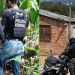 Policiais em operação da PF contra ‘tribunal do cr1m3’ em Manaus encontram c0rp0 enterrado