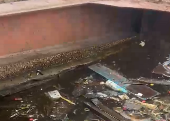 Vídeo: Homem só de blusa preta é encontrado m0rt0 na orla do Amarelinho, no Educandos