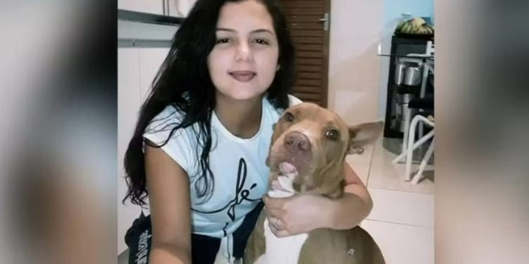Cachorro Pitbull m0rde pescoço e mat@ dona que cuidava dele