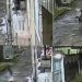 Vídeo: pit bull pula na jugular de cachorrinho que passeava na rua em Manaus