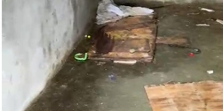 Homem é encontrado m0rt0 a p@uladas e com corda em casa abandonada em Manaus