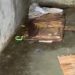 Homem é encontrado m0rt0 a p@uladas e com corda em casa abandonada em Manaus