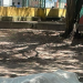 Trio chega em moto e m@ta homem na p@ulada perto de terminal no Coroado; veja