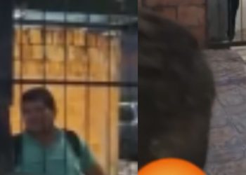 No Novo Cidade, homem é filmado 'mostrando as partes' para garotinhos; veja