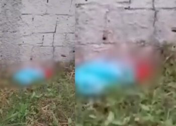 Vídeo: Recém-nascido é aband0nad0 no mato e mulher que o encontra se emociona: 'Ah, meu Deus'