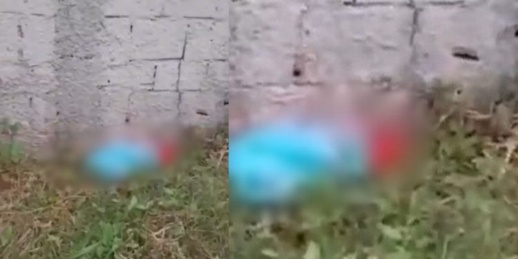 Vídeo: Recém-nascido é aband0nad0 no mato e mulher que o encontra se emociona: 'Ah, meu Deus'