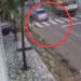 Idosa de 71 anos m0rr3 após ser atr0pelad4 por carro no Alvorada; veja o vídeo