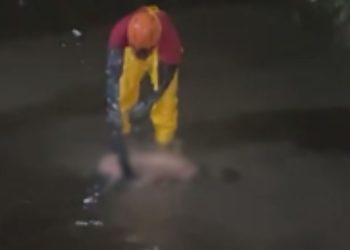 Corpo de homem é encontrado em igarapé boiando com marcas de agressã0 em Manaus