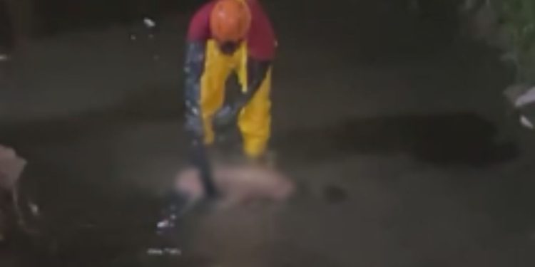 Corpo de homem é encontrado em igarapé boiando com marcas de agressã0 em Manaus